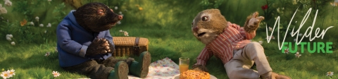 Picnic, Wind in the Willows