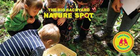 Big Backyard Nature Spot header image