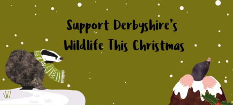 support derbyshire's wildlife this christmas on a green background with an illustrated mole and badger