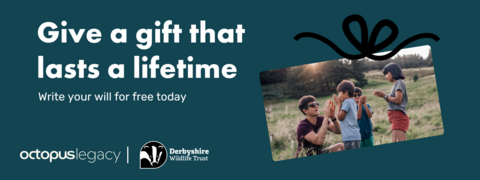 Give the gift that lasts a lifetime, write your will for free today