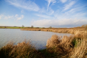 Carr Vale nature reserve, Guy Badham 