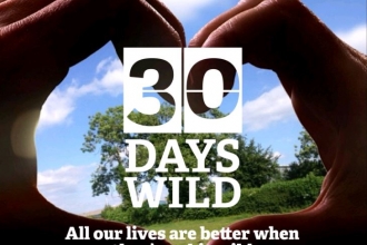 30 Days Wild