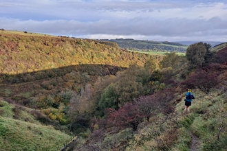 a man running down the side of a valley surrounded by autumnal trees
