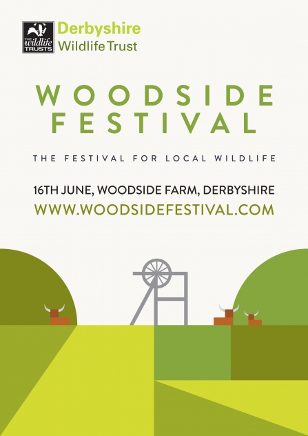 Woodside Festival poster