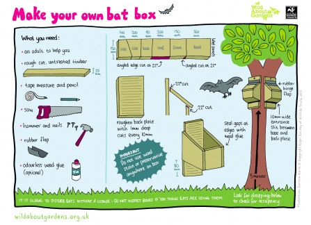 Make your own bat box 