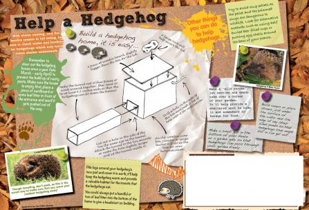 Build a hedgehog home