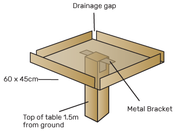 Build a bird table