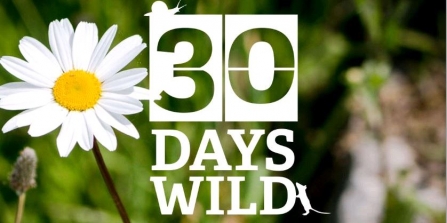 30 days wild