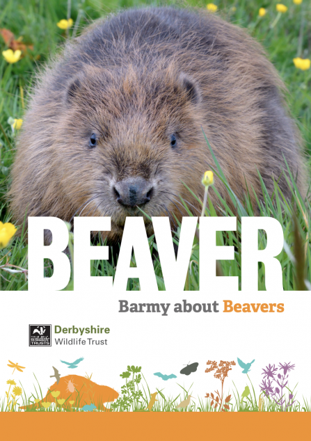 Beaver booklet