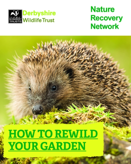 How to rewild your garden booklet