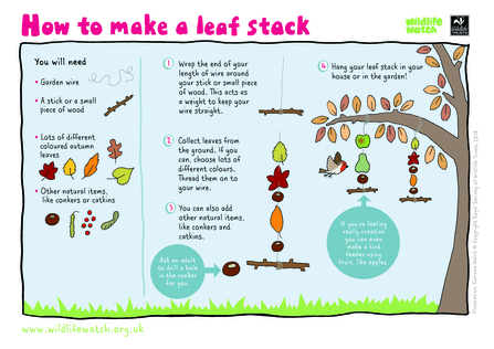 Activity sheet - How to make a leaf stack