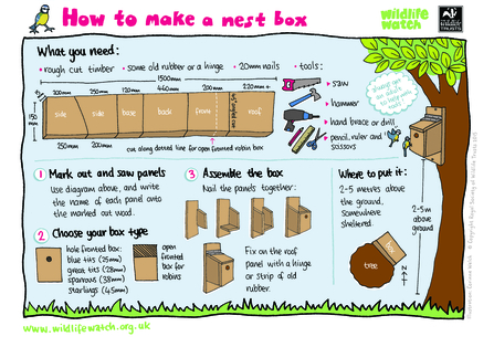 Activity Sheet - Build your own bird box