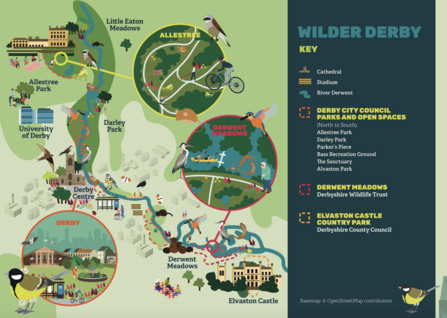 Wilder Derby Map 2022 Local Elections