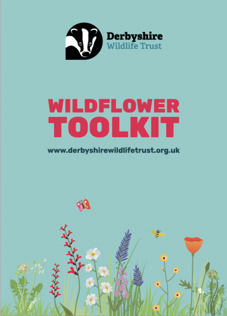 Wildflower guide toolkit