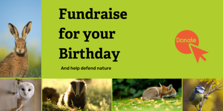 Fundraise for your birthday and help to defend nature