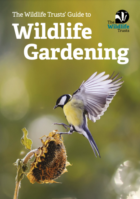 the wildlife trusts guide to wildlife gardening