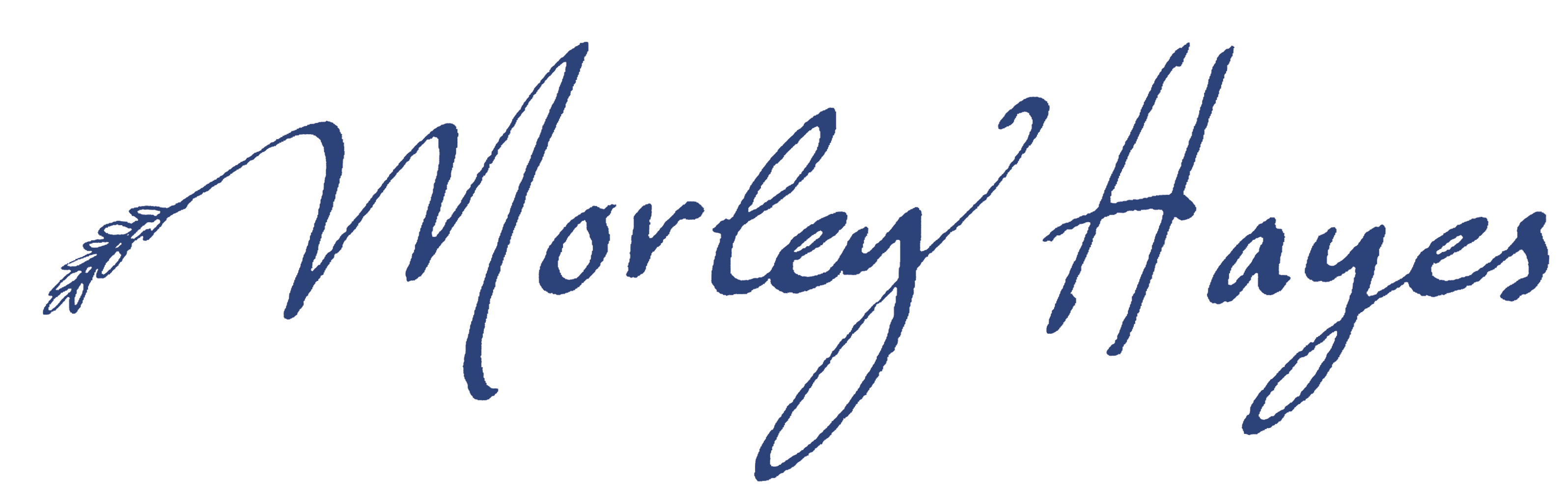 Morley Mayes logo