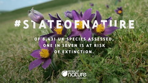 State of nature infographic