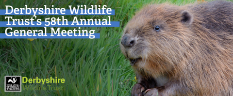 AGM 2020