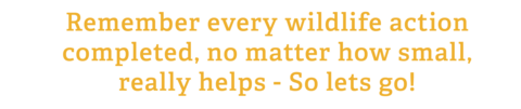 Team Wilder quote