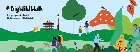 Big Wild Walk banner 2021