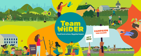 Team Wilder - Homepage