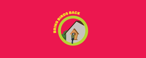 Bring Birds Back - Team Wilder