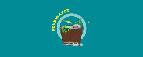 Pond in a Pot web banner - Team wilder