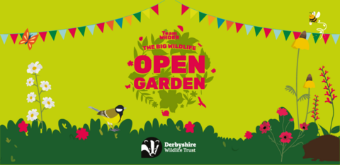 the big wildlife open garden