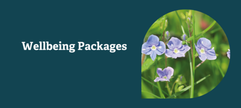 wellbeing packages