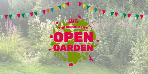 the big wildlife open garden