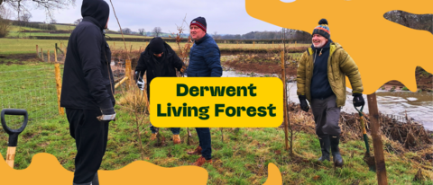derwent living forest image of men laughing and planting trees next to a river
