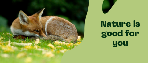 nature is good for you