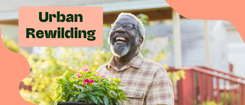 Urban rewillding title with a man holding a tray of pink flowering plants laughing