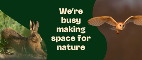 We're busy making space for nature written on green shape with a hare on one side and a barn owl on the other