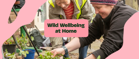 A person planting in their garden at home, captioned 'wild wellbeing at home'