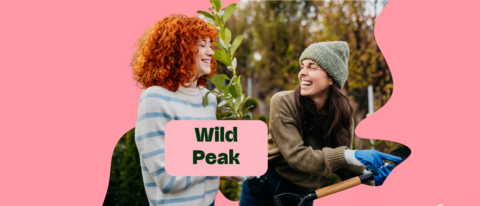 Wild Peak Header