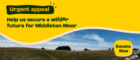 urgent appeal, healp us secure a wilder future for middleton moor, donate now