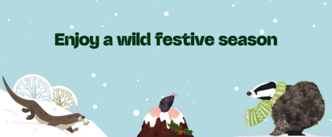 Light blue background with falling snowflakes and illustrations of an otter, mole, and badger, with text in dark green: “Enjoy a wild festive season”. The otter has a sprig of mistletoe in its mouth, and the badger wears a green and white scarf. The mole is coming out of a snowy molehill.