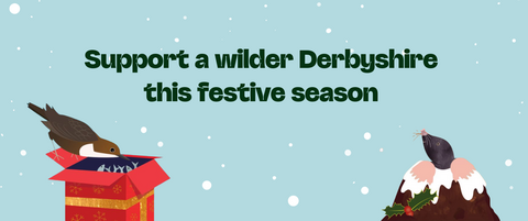 Illustration of a dipper bird perched on a Christmas gift box, and a mole on a Christmas pudding, with text "Support a wilder Derbyshire this festive season" on a light blue snowy background.