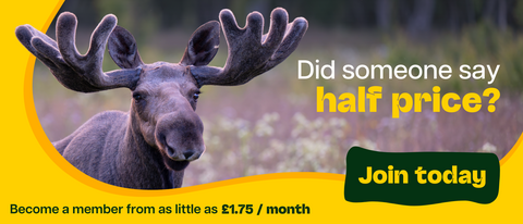 Close-up image of a Eurasian elk with large antlers, with text "Did someone say half price? Join today", and text "Become a member from as little as £1.75 / month" on a yellow and green background, promoting a membership.