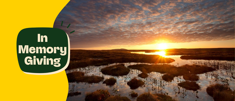 A serene marsh landscape at sunset, with the sun casting golden rays over reflective water and the words "In Memory Giving" in a green badge.