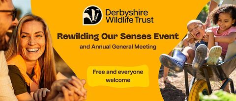 Banner for Derbyshire Wildlife Trust's "Rewilding Our Senses Event and Annual General Meeting" featuring smiling adults and children enjoying outdoor activities, with text overlay promoting the free event.