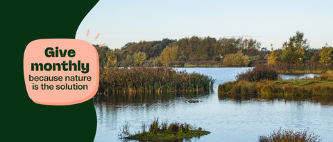 "Give monthly because nature is the solution" text overlay on a serene landscape of a calm body of water surrounded by reeds, grasses, and trees with autumn foliage. Birds are in flight above the water.