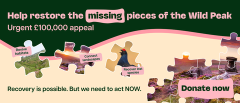 Puzzle pieces form a mosaic representing the Wild Peak landscape and its wildlife, with text promoting an urgent £100,000 appeal for habitat restoration, species recovery, and landscape connectivity, concluding with a "Donate now" call to action.