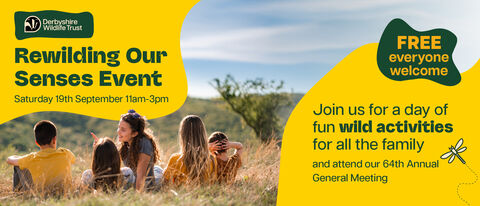 Derbyshire Wildlife Trust Rewilding Our Senses Event on Saturday, September 19th, 11 am-3 pm, featuring free fun wild activities for all the family and their 64th Annual General Meeting.