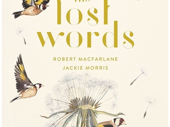 Lost for words book review