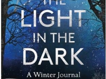 The light in the dark book