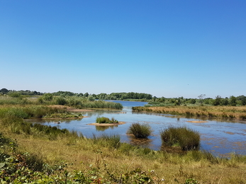 Willington Nature Reserve