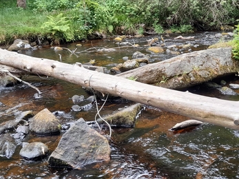 leaky dam colderdale